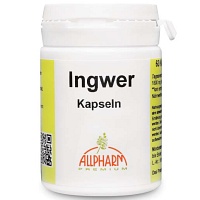 INGWER KAPSELN 300 mg - 60St